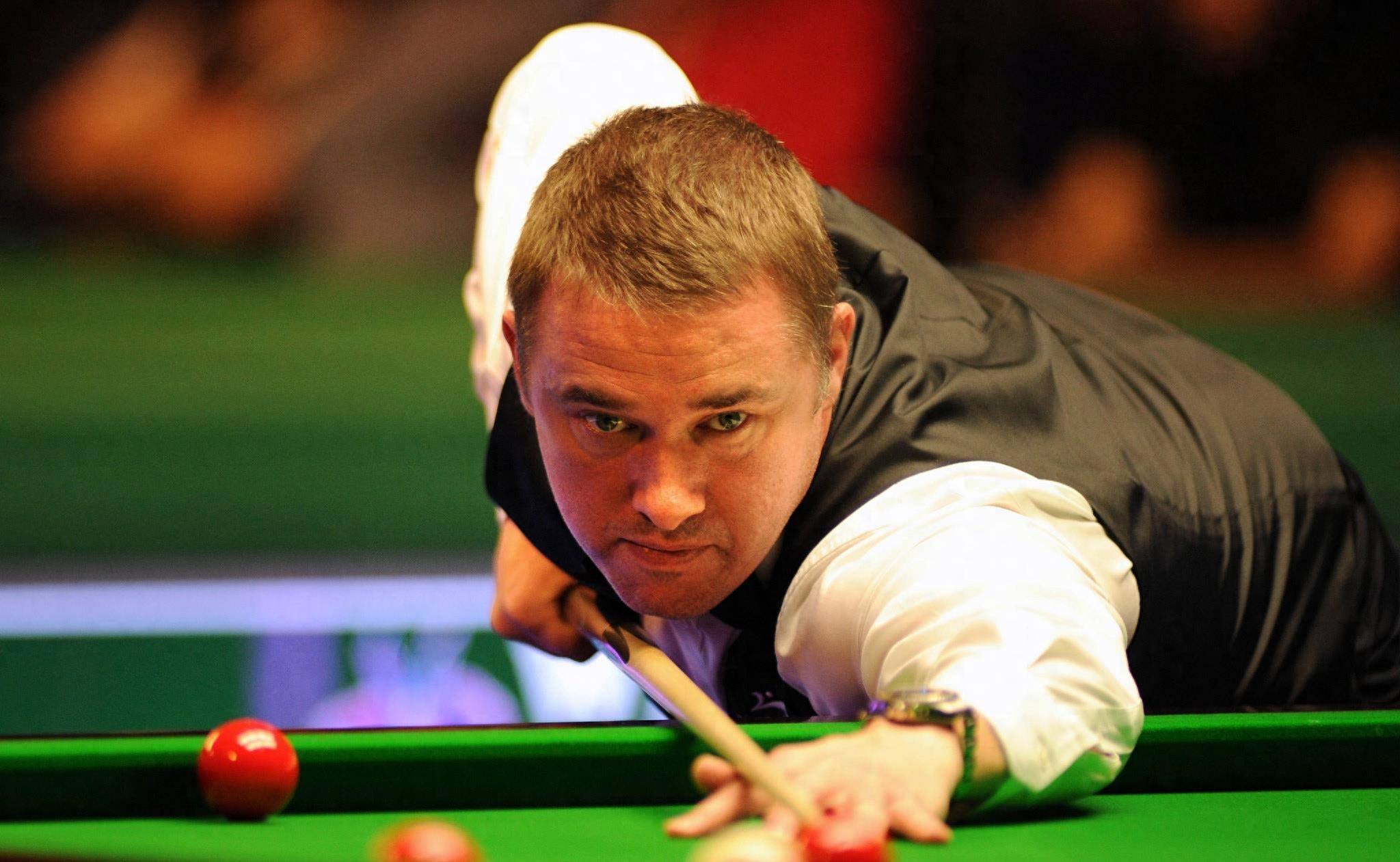 毛球传统强 毛球传统强