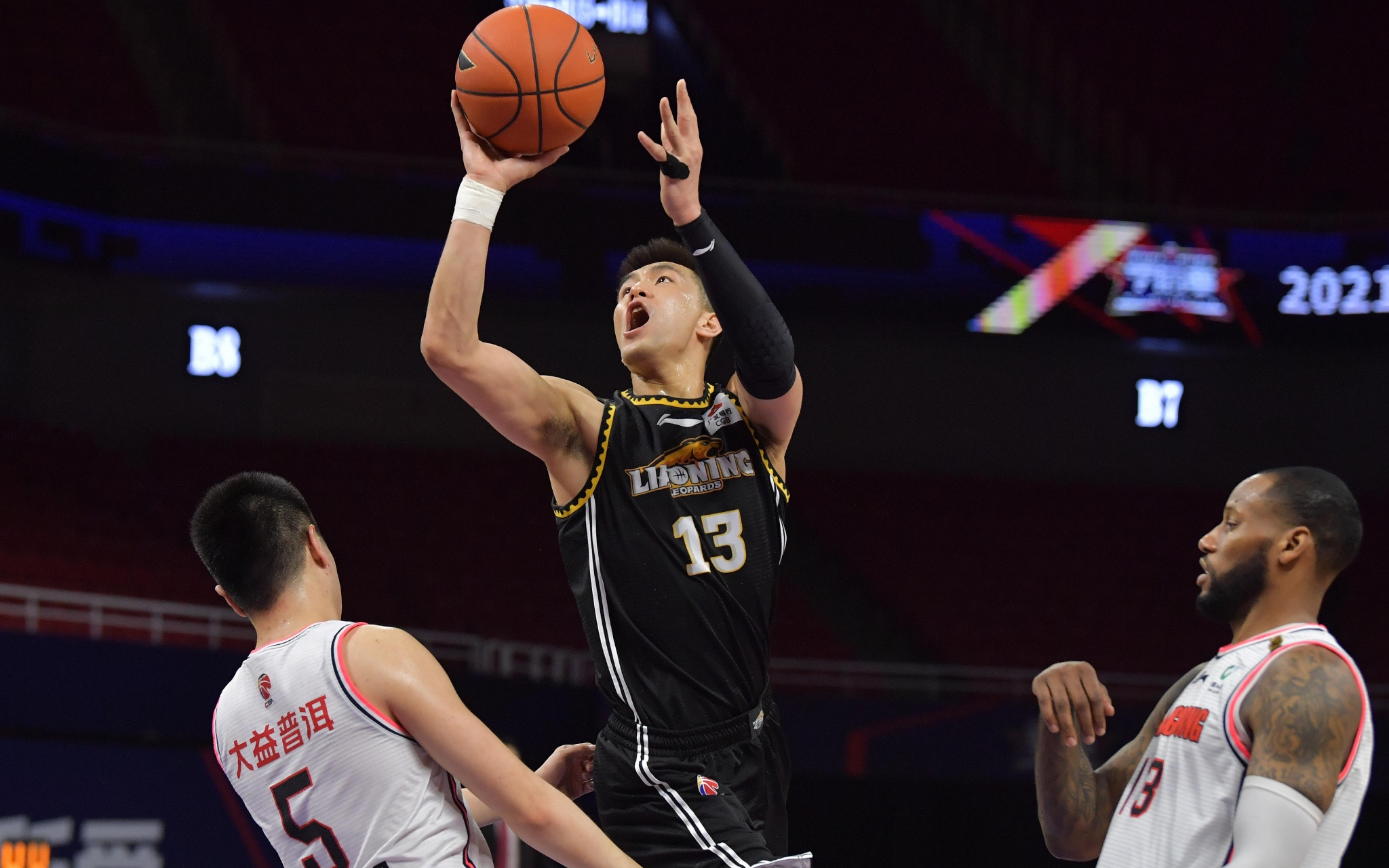 关于陈雨菲 关于陈雨菲