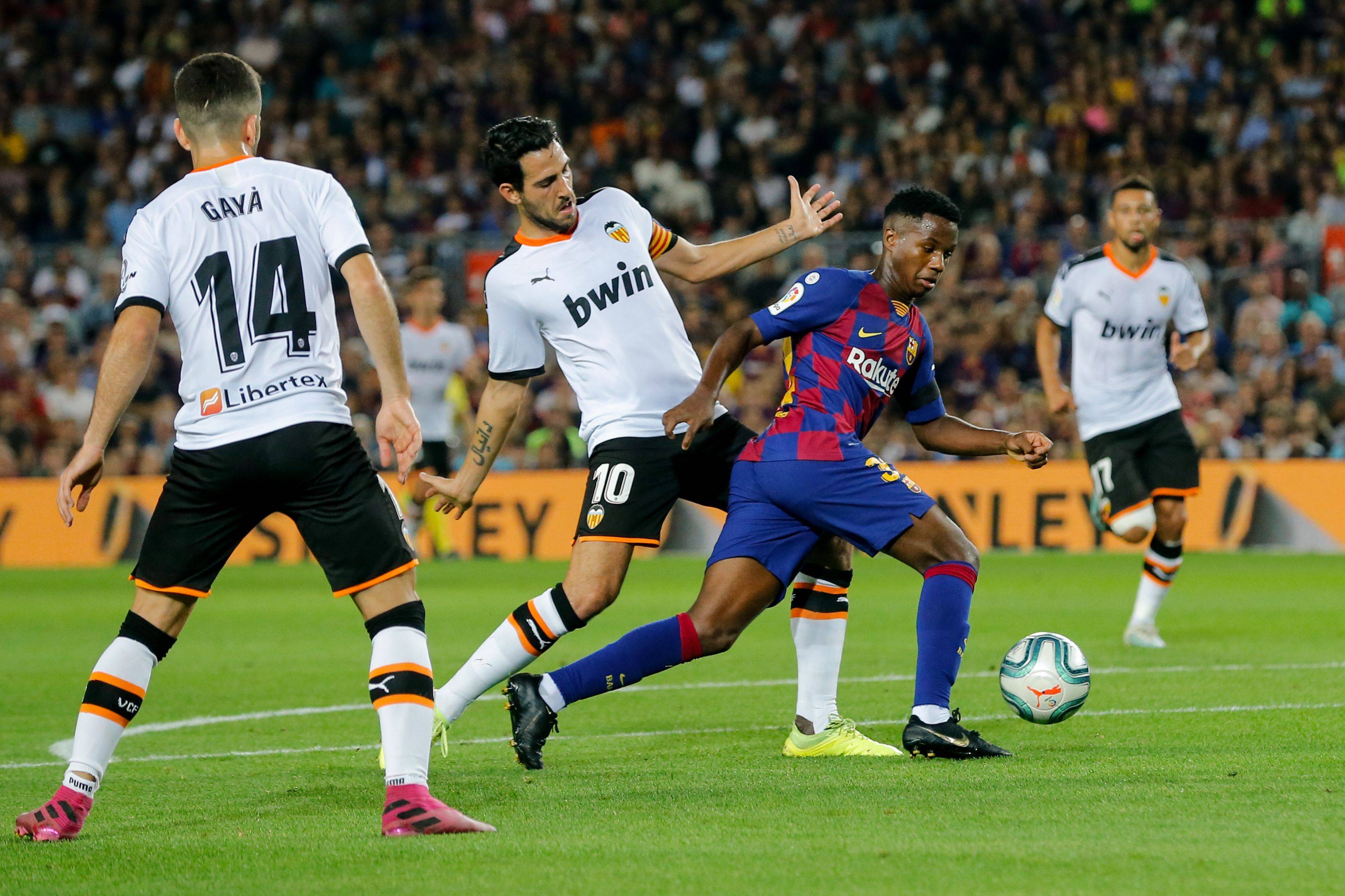 特的组织能 特的组织能