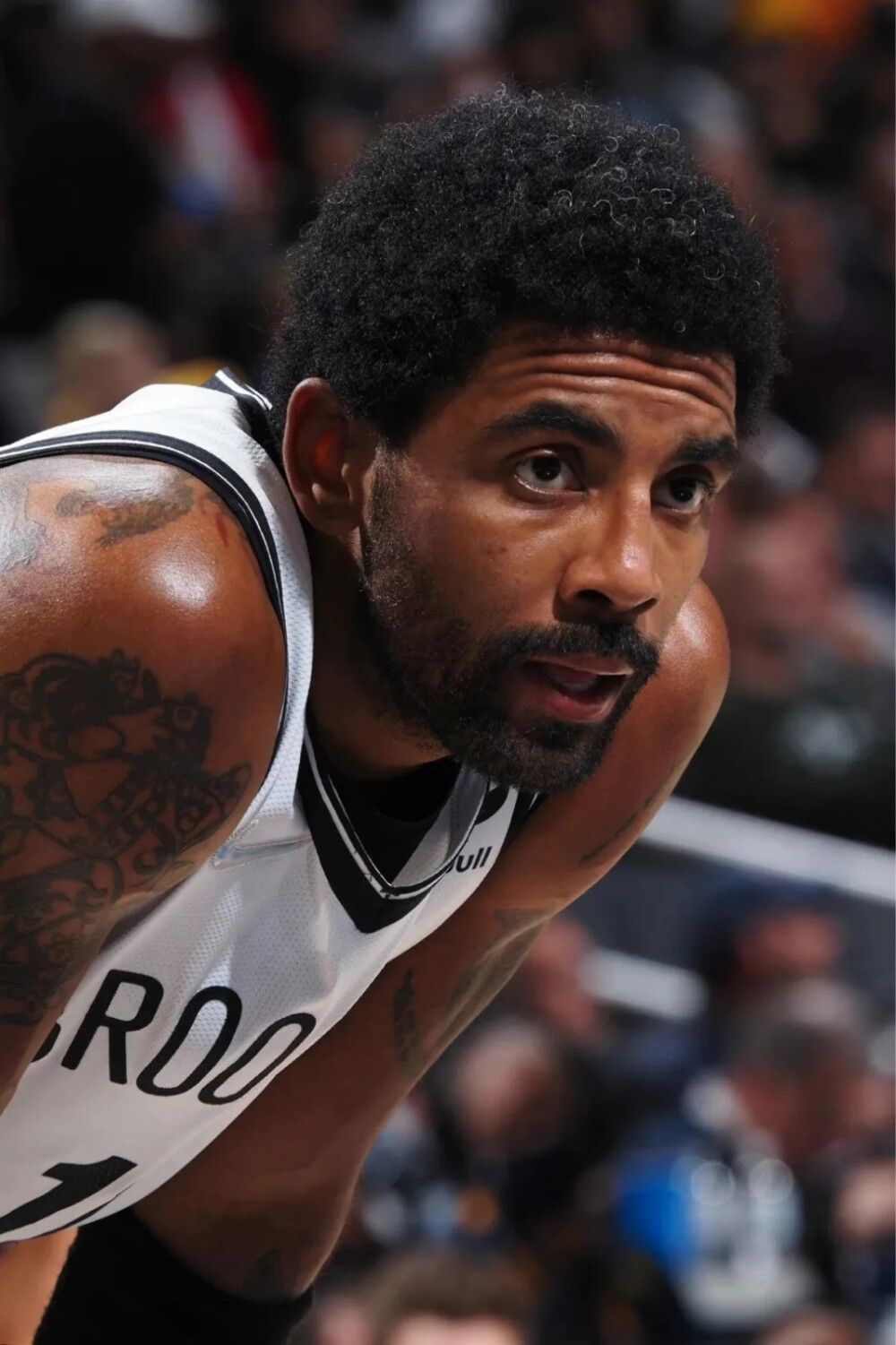 并未急于追 并未急于追